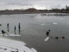 fastelavn-brondby-havn-2012-007